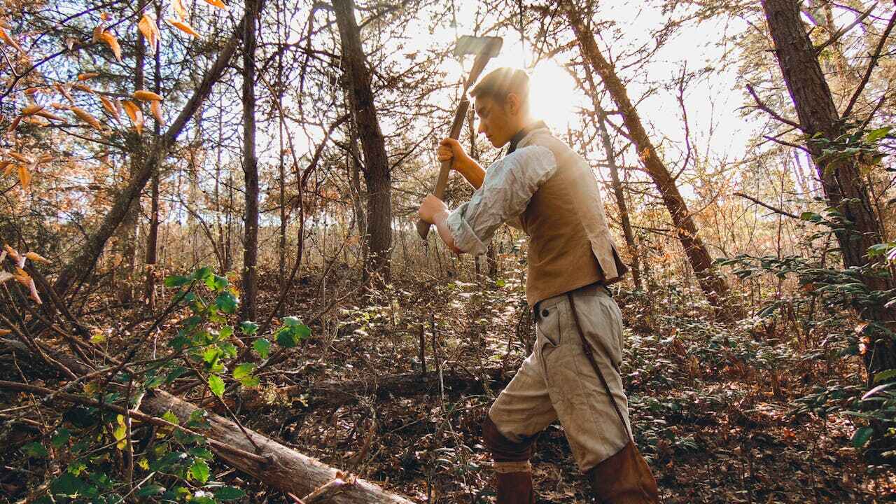 Tree Branch Trimming in Wendell, NC